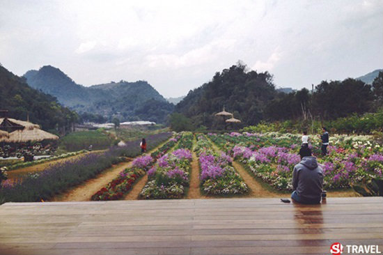 สถานีเกษตรหลวง ดอยอ่างขาง